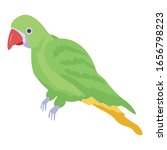 Amazon Parrot Icon. Isometric...