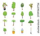 Fruit Tree Icons Set. Isometric ...