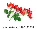 bunch of rosehips with leaves isolated on white