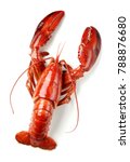 Cooked Lobster Isolated On White