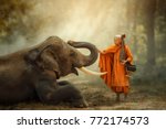 Small photo of Monk walking hiking with canny Elephant in forest.