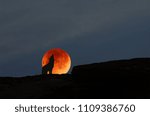 Small photo of Red moon and yowl wild dog on the cliff in the evening