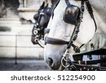 Close up of horse heads of a Fiaker in Vienna, Austria