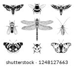 Insects Set Vector Hand Drawn...