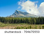 Summertime landscape with forest felling in the foreground against the background of mount the Krivan in mountains High Tatras, part of the Western Carpathians in the Slovakia