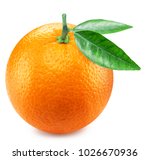 Orange fruit with orange leaves....