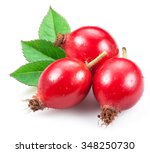 Rose Hips With Leaf Isolated On ...