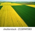 Scenic aerial drone view of yellow rapeseed fields in Ile-de-France, France