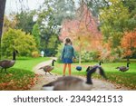 Small photo of Adorable preschooler girl looking at Canada geese in Park Bagatelle, Paris, France on a fall day