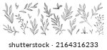 set of branch and leaves... | Shutterstock .eps vector #2164316233