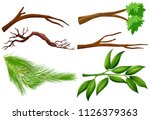 a set of tree branch... | Shutterstock .eps vector #1126379363