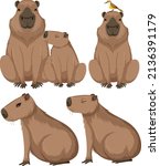 Set Of Different Capybara In...