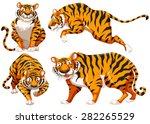 four different positions of... | Shutterstock .eps vector #282265529