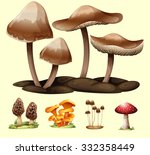 Different Kind Of Mushrooms...