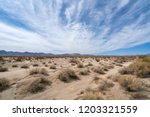 Mohave Desert Landscape With...