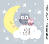 Cute Owls On The Clouds Vector...