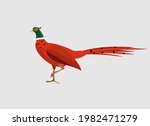 Male ring-necked pheasant isolated on white vector