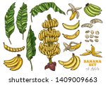 Bananas Tree And Tropical Fruit ...