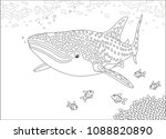 Big Whale Shark And Small Coral ...