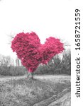 Small photo of Real fantasy landscape. Heart shaped tree in field. Spring. Unadorned countryside rural life. Protect environment, climate change concept. Ecological background. Black white pink toned photo.