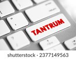 Small photo of Tantrum - is an emotional outburst, usually associated with those in emotional distress, text concept button on keyboard