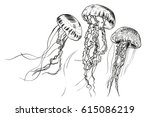 Hand Drawn Jellyfish. Vector...