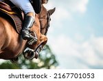 Horse Jumping, Equestrian Sports, Show Jumping themed photo.