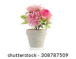Artificial Flower Pot Isolated...