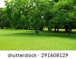 green park and tree | Shutterstock . vector #291608129