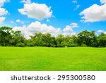 green park and tree with blue... | Shutterstock . vector #295300580