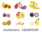 tropical exotic fruits set. raw ... | Shutterstock .eps vector #1836895189
