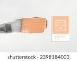 Small photo of New trending PANTONE 13-1023 Peach Fuzz colour of 2024 year oil paint stroke on white background