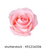 Pink Rose Isolated On White...
