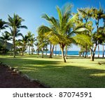 Scenic View Of Palm Trees On...