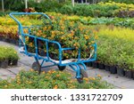 Cart Full Of Flower Pots With...