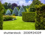 landscape desing of a park with a garden bed and trees with leaves and pine needles on a green lawn, evergreen and seasonal plants in the backyard.