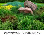 rockery with two large natural stones among different green plants, backyard landscaping with deciduous planting of greenery on summer day, close up, nobody.