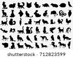 big vector collection of... | Shutterstock .eps vector #712823599