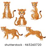 Leopard Cartoon Set Collection