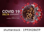 Covid 19 Coronavirus Delta...