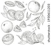 vector collection of hand drawn ... | Shutterstock .eps vector #1930611203