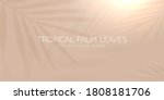 tropical palm leaf shadow on... | Shutterstock .eps vector #1808181706