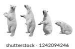 A Collage Of Polar Bear In...