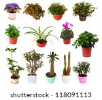 set of houseplant in  pots.... | Shutterstock . vector #118091113