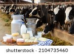 Small photo of Aluminum can and glass decanter with milk, fresh curd and various cheeses on table standing in outdoor cowshed. Production of dairy products