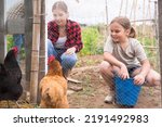 Smiling young woman with little girl feeding poultry in aviary at allotment