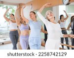 Small photo of Slim aged woman and other attendees practicing ballet at ballet barre in dance studio during training session
