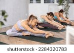 Small photo of Sedulous women trying head to knee pose of yoga on black mat in light gym room with pot plants
