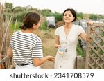 Small photo of Cheerful young girls neighbors talking in backyard of a village house
