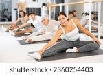Small photo of Gracile young woman doing pilates exercises on gray mat during workout session